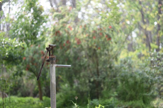 lush green permaculture garden