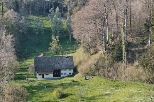 beautiful tiny house surrounded by nature