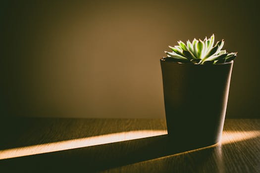 vertical garden with plant stands