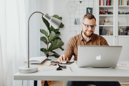 organized workspace with plant