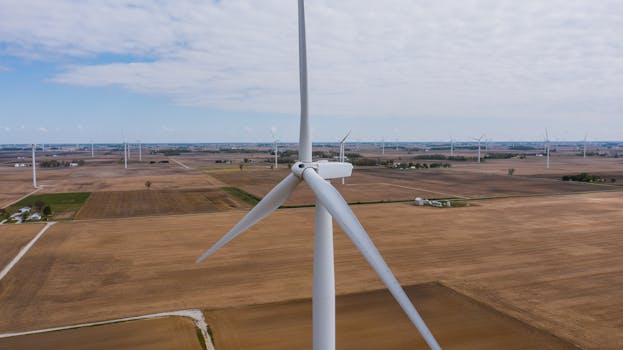 wind turbine in a field