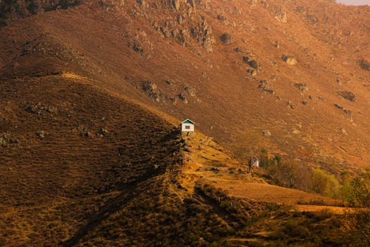 tiny house in nature