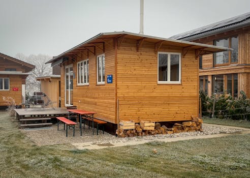 cozy tiny house surrounded by nature