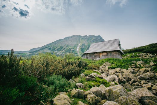 rural tiny house with a view