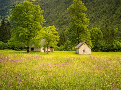 serene view of a national park from a tiny house