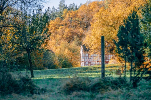 charming tiny house in the woods