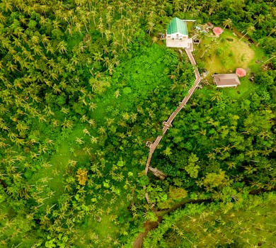 an eco-friendly tiny house surrounded by nature