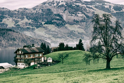 tiny house with mountain view