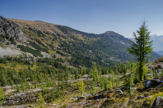 serene mountain landscape