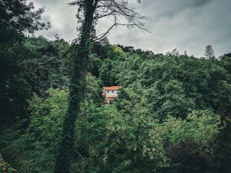 tiny house nestled in nature