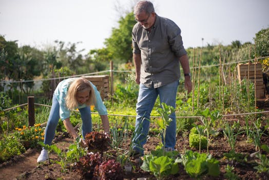 a couple working together in their garden